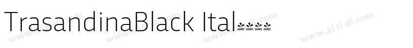 TrasandinaBlack Ital字体转换